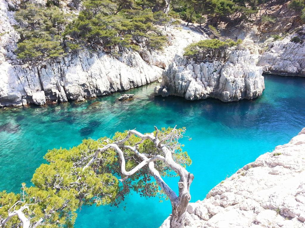 La Palmeraie Марсель Экстерьер фото